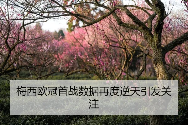 梅西欧冠首战数据再度逆天引发关注
